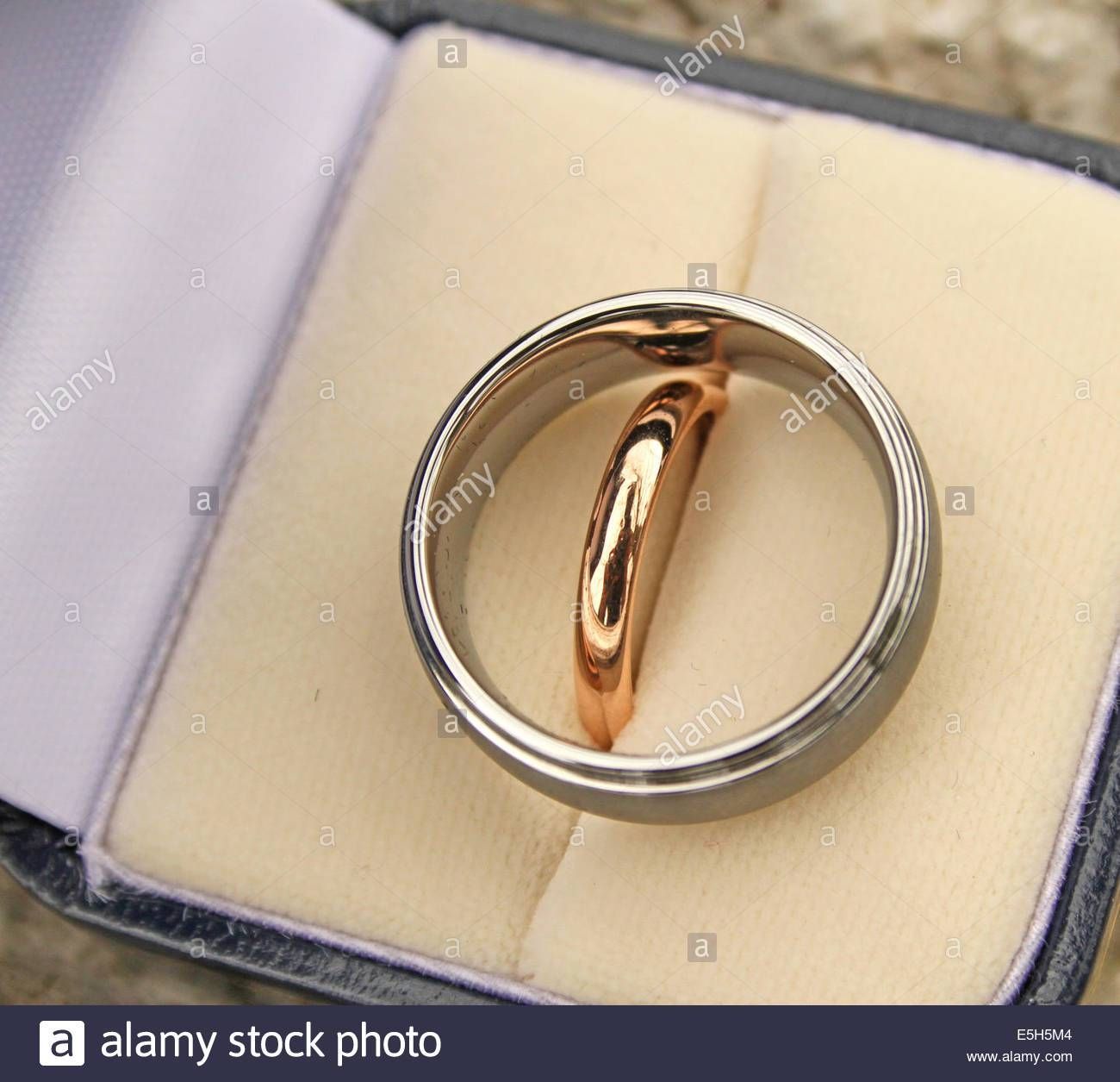 Wedding Rings For The Bride And Groom In A Presentation Box Stock Within Wedding Rings For Groom (View 8 of 15)
